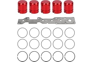 CHEOTIME Accumulator Piston Kit, Transmission Repair Set with Support Plate and Seal Rings for 45RFE 545RFE 65 66 68RFE Autom