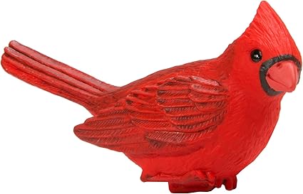 safari incredible creatures