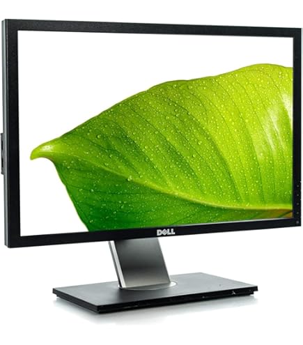スマホ・タブレット・パソコン DELL P2210 Amazon.com: Dell P2210 22