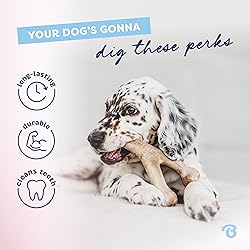 Benebone Puppy Wishbone Dog Chew Toy, Made in