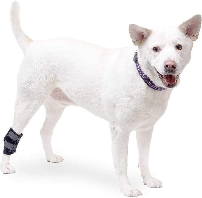 hock wraps for dogs