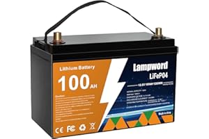Lampword Lithium Battery 12V 100Ah LiFePO4 Battery 6000+ Deep Cycle Rechargeable Batteries for Trolling Motor/Golf Cart/Solar and Wind Power,Lighting,Fish Finder
