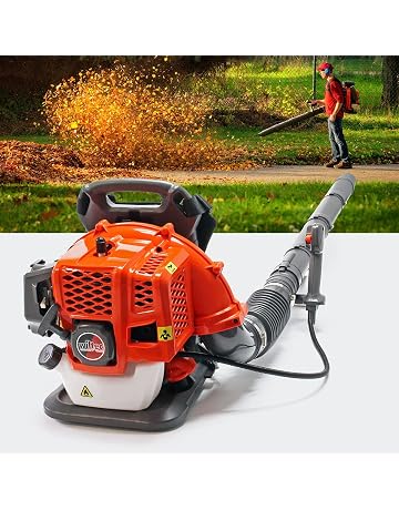 Amazon.es: Sopladores de hojas: Jardín