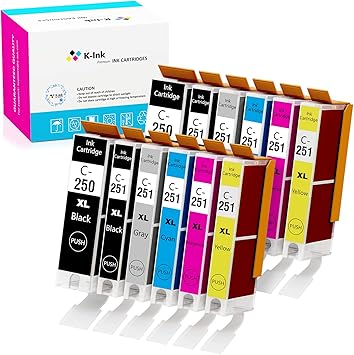 canon 251 ink amazon
