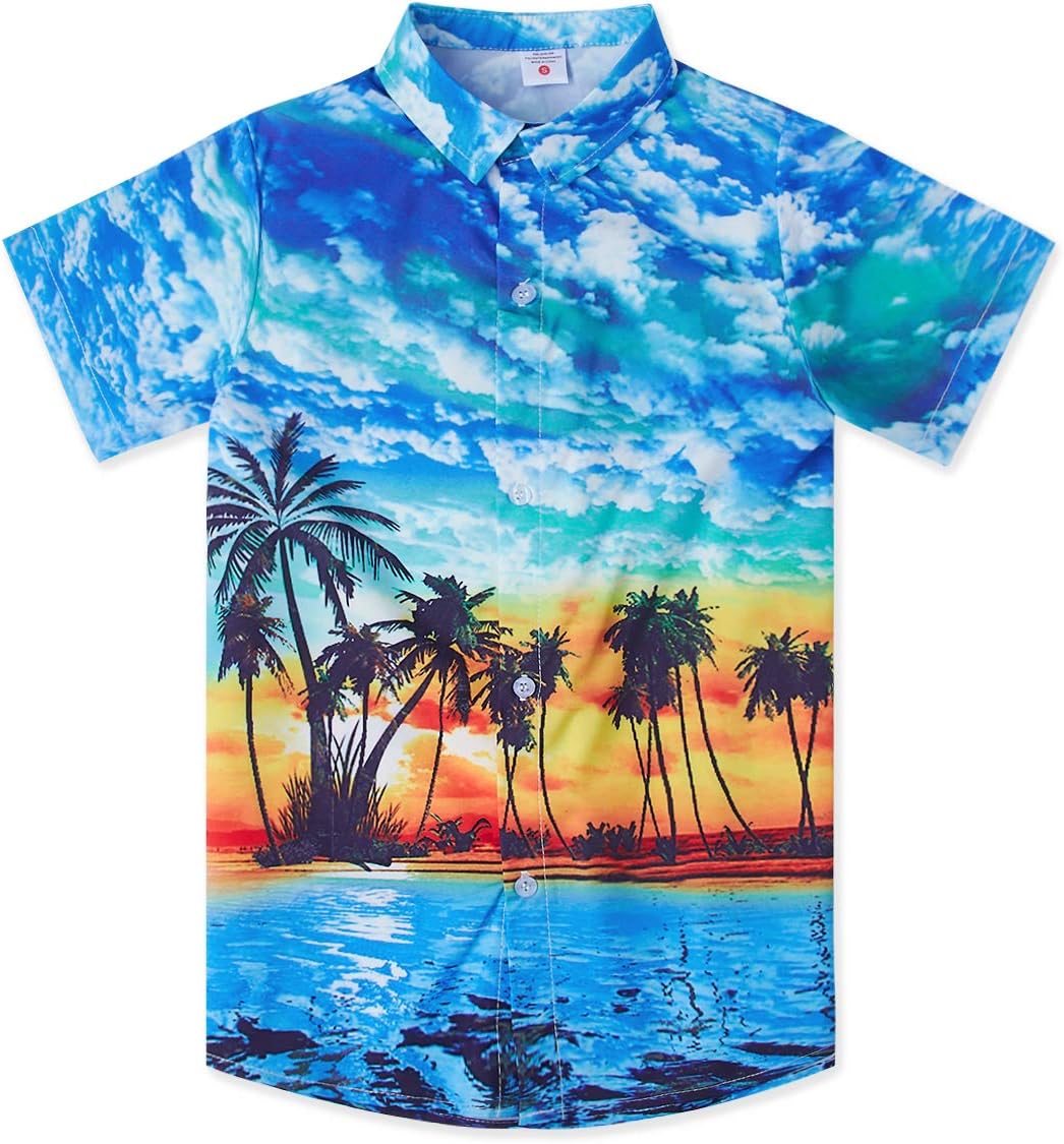 Hawaiian Shirts Boys 3D Print Summer Short Sleeve Button Down Ugly Shirt for Childs Teens