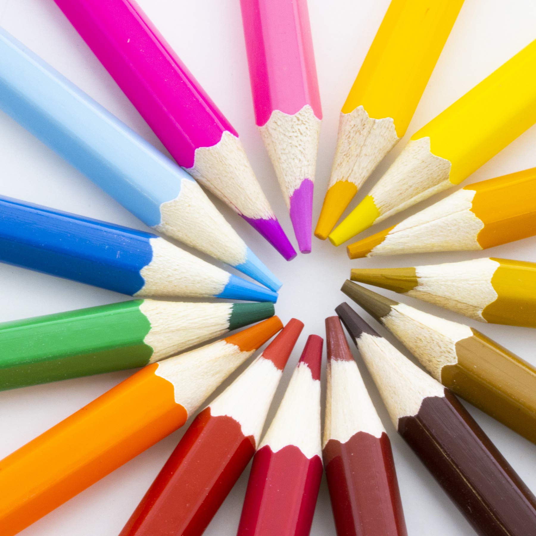 BAZIC 24 Color Pencil