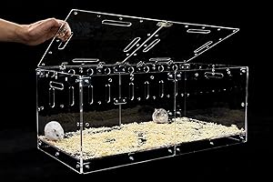 GuineaLoft™ Acrylic Cage (Model-P) - Fully Closed Cage for Hamsters, Mice, Gerbils, Small Animals Prone to Escaping & Chewing, DIY Extendable & Stackable to Add Space - Guinea Loft Exclusive