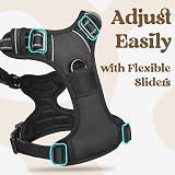 rabbitgoo Dog Harness Small Adjustable No Pull Reflective Front Back Clips view 6