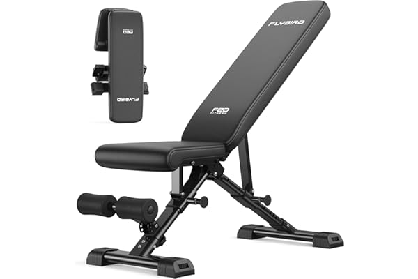 FLYBIRD WB5 Weight Bench 800LBS 1