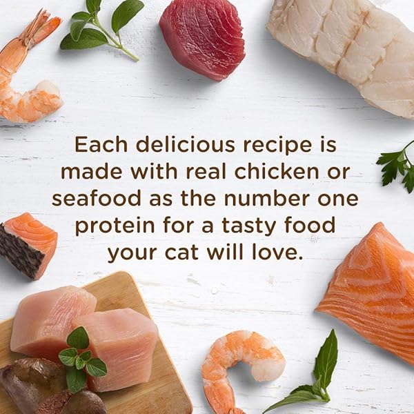 NUTRISH GRAIN FREE WET CAT FOOD TUNA PURRFECTION WHOLE HEALTH BLEND WITH REAL TUNA FLAKES IN A SAVORY SAUCE, 2.8 OZ. CUP (RACHAEL RAY) (PACK OF 12)