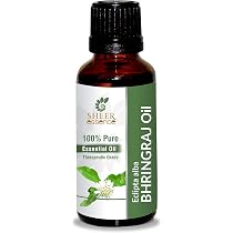 Amazon.com: Bhringraj Oil -(Eclipta Alba)- 100% Pure Natural ...
