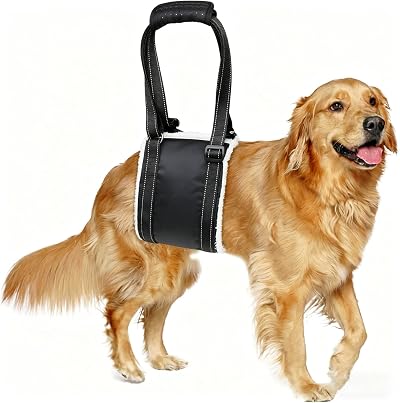 BRO Medium Dog Mobility Aids Support Sling for Hind Legs Lift Harness