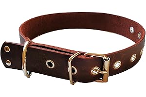 Top Grain Leather Dog Collar, Neck Size 15"-23" Width 1.25" (Brown)