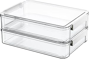 Citylife 2 Packs Clear Plastic Storage Boxes with Lids Stackable Storage Containers with Latches Portable Project Case Clear 