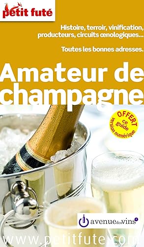 Download Petit Futé Amateur de champagne PDF