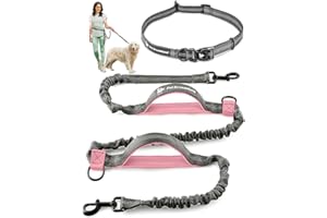 PET DREAMLAND Exquisite Hands-Free Leash for Large Dogs: Ultimate Comfort & Freedom for Running, Walking, Hiking. Premium Quality, Durable & Versatile Waist Belt Leash. Your Dog Will Love It.