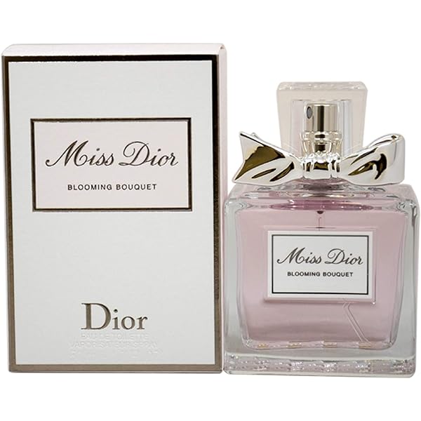 Amazon.com: Christian Dior BPW55329944 : Beauty & Personal Care