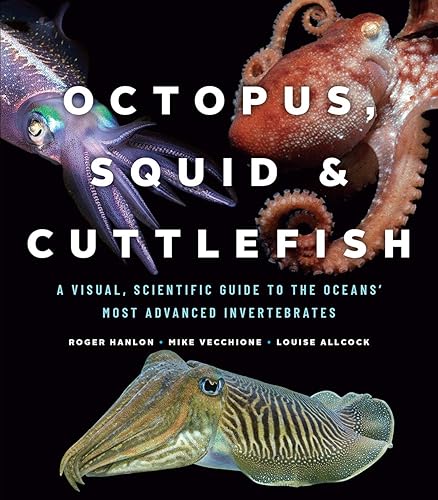 Download Octopus, Squid & Cuttlefish: A Visual, Scientific Guide to the Oceans' Most Advanced Invertebrates PDF