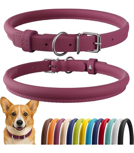 Coastal Pet Products 2208 Leather Latigo Round Dog Collar, 1 by 24