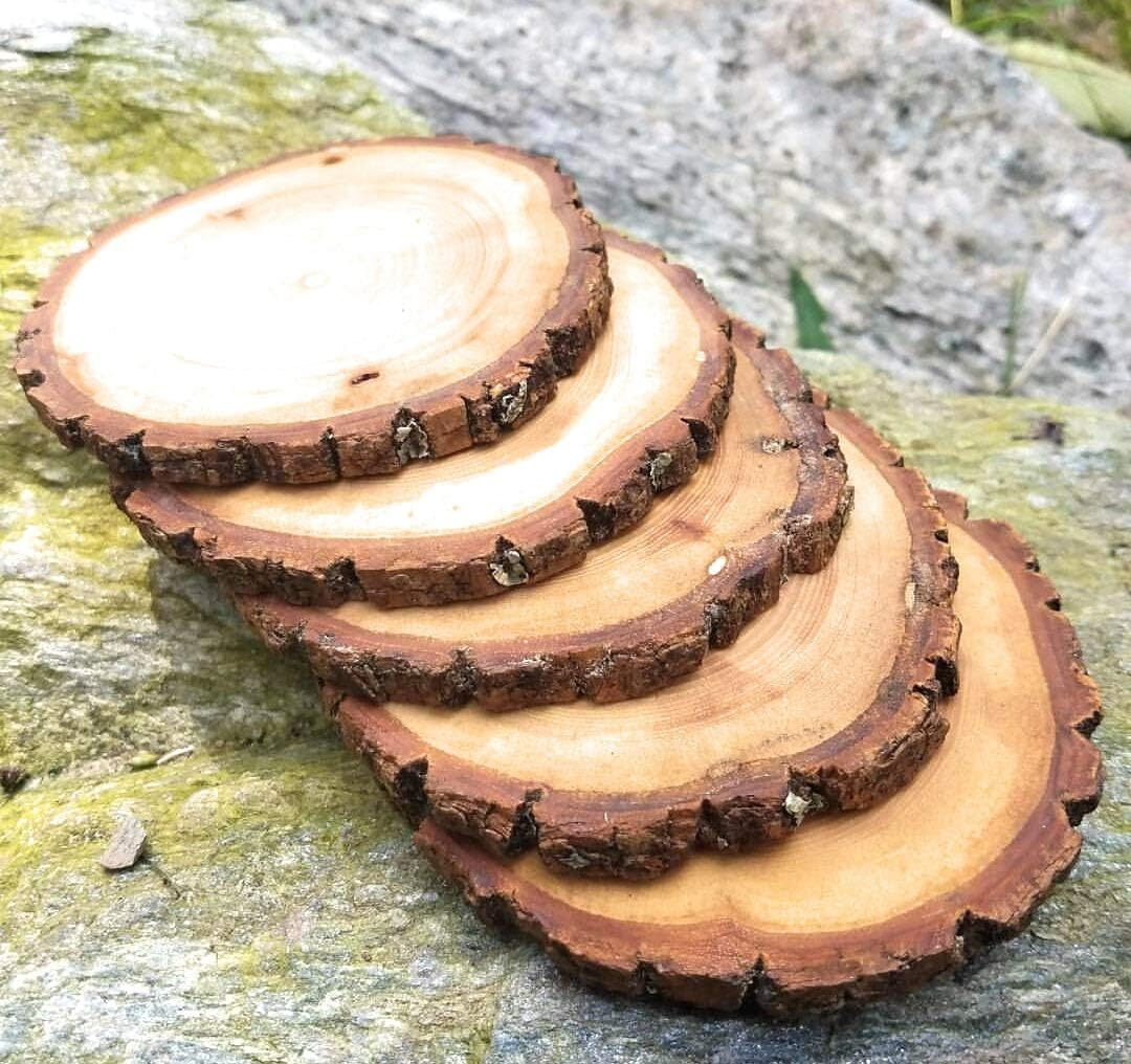 T One Woods Round Wooden Bark Slices Coaster -Set of 6