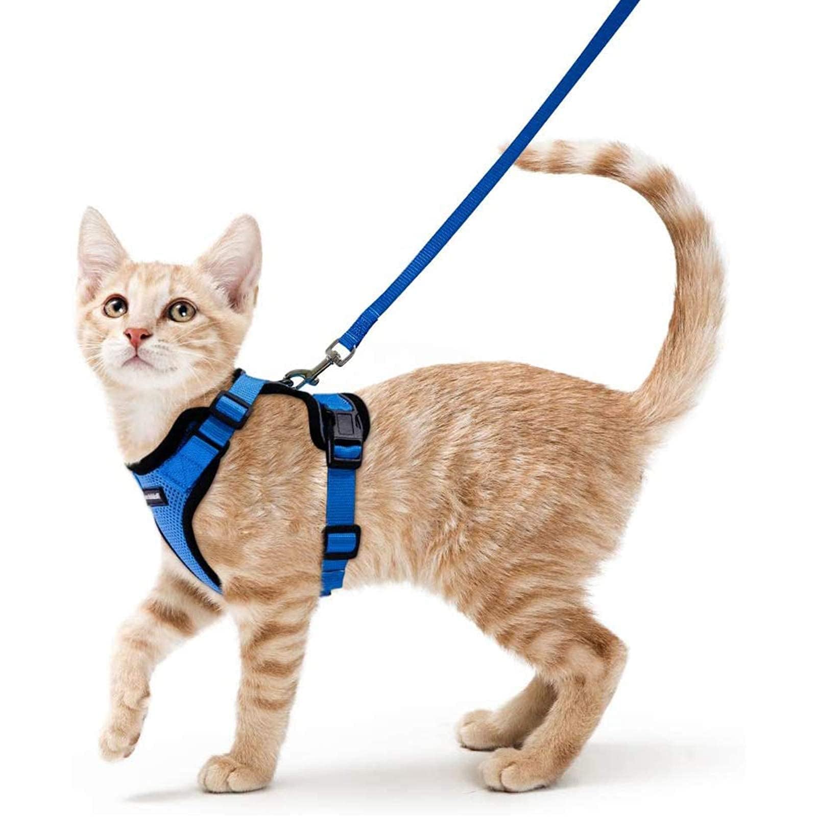 Photo 1 of rabbitgoo Cat Harness and Leash for Walking, Escape Proof Soft Adjustable Vest Harnesses for Cats, Easy Control Breathable Reflective Strips Jacket, Navy Blue, XS