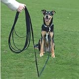Company of Animals Recall Line 10m Dog Training Equipment Recall Line 10m view 2
