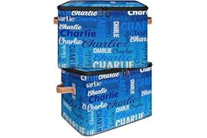 RIRIX Custom Storage Bins with Zipper Lids - Personalized Storage Box Foldable Organizer Basket Keepsake Box with PU Leather 