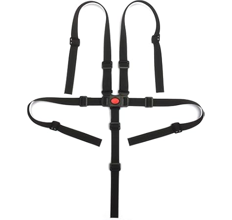 stroller 5 point harness