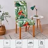 HZDHCLH Chair Covers Slipcovers 6 PCS Stretch Removable Washable Cactus Design view 3