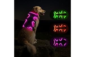 Fiveda Light Up Dog Harness LED Dog Vest - USB-C Rechargeable RGB 9-LED, Slow/Fast Rainbow Modes, Reflective No-Pull Harness with Dual D-Rings & Handle for Small to XL Dogs (Black, L)