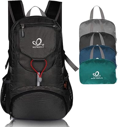 amazon day pack backpack