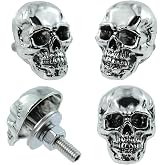 Bashineng Skull License Plate Bolts Fasteners License Plate Screw Decoration Cute Unique Cool Funny Stainless Steels Screw Kit Universal Fit Most Cars Truck Motorcycle 4 Pcs (Silver)