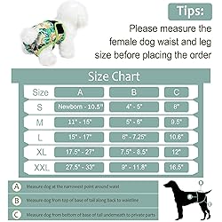 Grecle Washable Female Dog Diapers - Premium