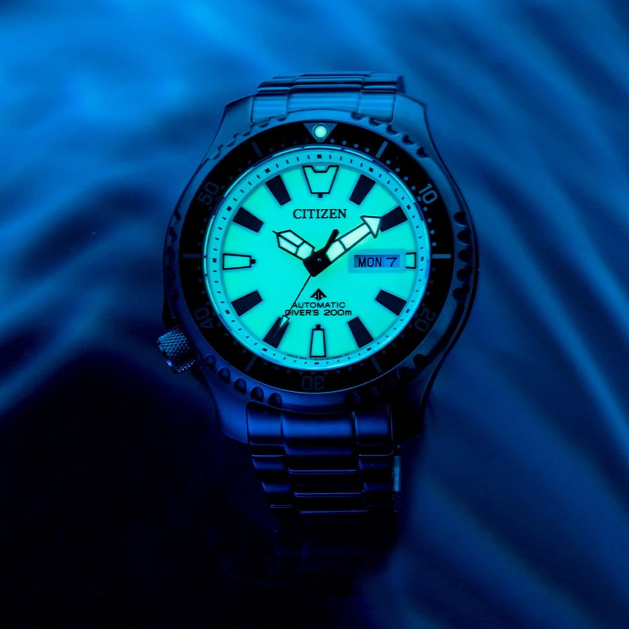 Citizen Men's Promaster Dive Fugu