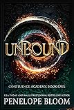 Unbound: A Fantasy Romance