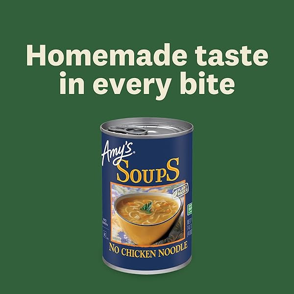AMY’S SOUP, VEGAN, NO CHICKEN NOODLE SOUP, MADE WITH ORGANIC VEGETABLES, 14.1 OUNCE