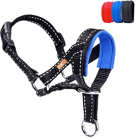dog head halter amazon