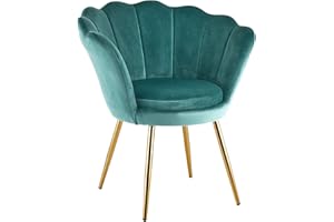 Baroni Home Velvet Upholstered Accent Chair with Shell Backrest and Gold Legs, Living Room and Bedroom Armchair, Relax Chair (Tiffany)