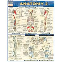 Anatomy 2 - Reference Guide (8.5 x 11): a QuickStudy Laminated Reference Guide
