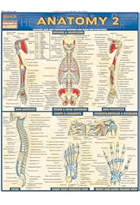Physiology QuickStudy Laminated Reference Guide (QuickStudy