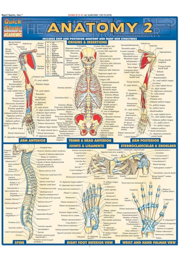 Physiology: QuickStudy Laminated Reference Guide (QuickStudy