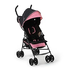 Ingenuity 3D Mini Convenience Stroller
