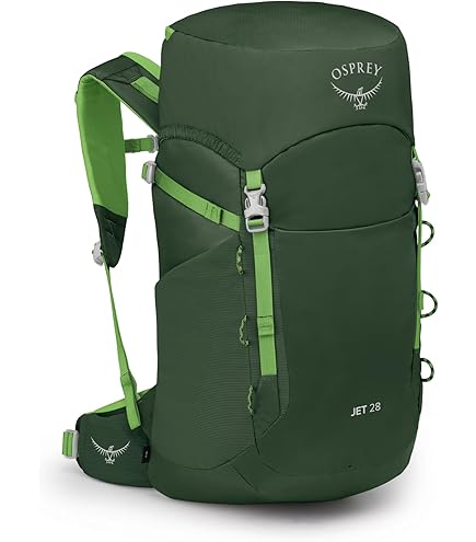 Amazon.com : Osprey Ace Kids' Backpacking Backpack : Sports & Outdoors
