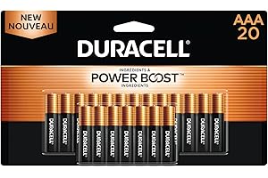 Duracell - CopperTop AAA Alkaline Batteries - 20 Count - Long Lasting, All-Purpose Triple A Battery for Household and Busines