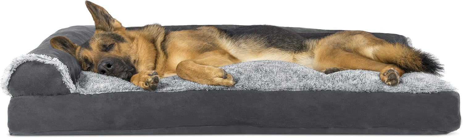 dog bed for two dogs