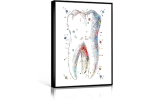 WINDRAIN Posters Medical,Molar Art Print Molar Tooth Watercolor Stomatology Oral Medicine Illustration Dental Art Dentist Gift Orthodontics Poster,16x24 inch framed wall art