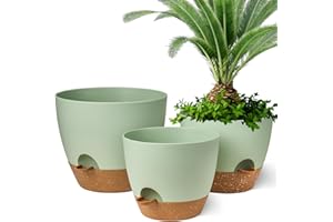 Gardrium Self Watering Planters 12/10/9 inch Plant Flower Pots Set of 3 Plastic with Drainage Hole for Indoor Outdoor Garden, Green with Brown Saucer