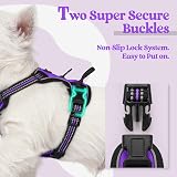 rabbitgoo Dog Harness Small No Pull Reflective Adjustable Vest Purple XS view 4