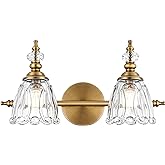 Ditoon Brass Vanity Light, Farmhouse Brushed Gold Bathroom Light Fixtures, 2 Light Bathroom Vanity Lights, Flower Glass Shade