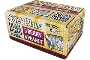 ST. ALBANS BAY SUET PLUS Suet Cake Variety Packs | 11 oz. Wild Bird Suet Cakes | (Peanut and Berry, 10 Pack)